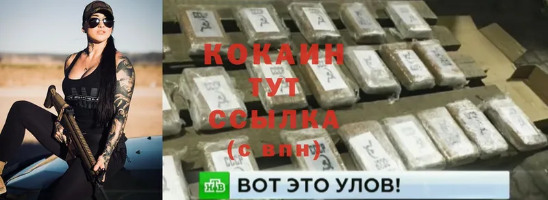 Cocaine Эквадор  кракен ссылки  Орск 